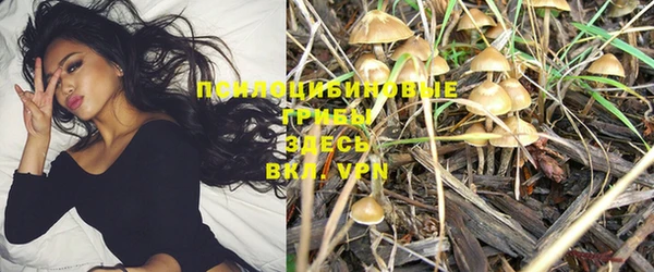марки lsd Нефтекумск