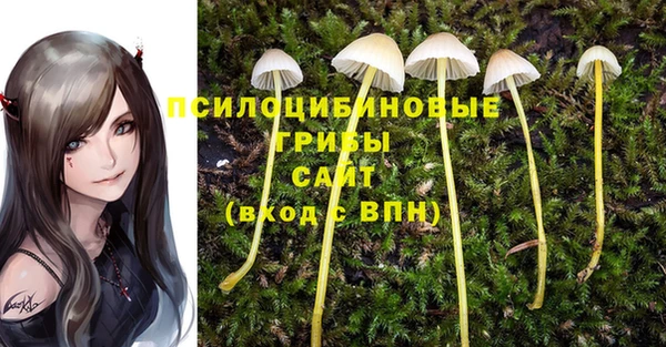 мдпв Нефтегорск