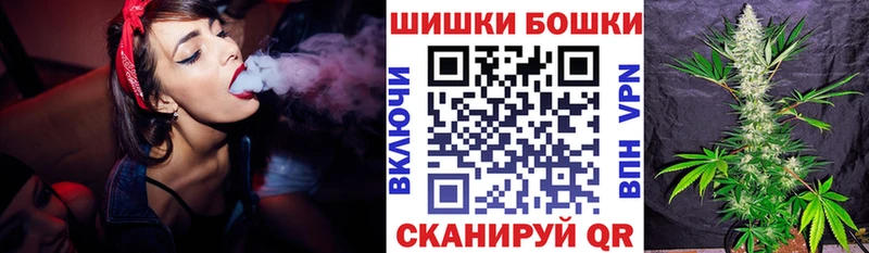 Бошки марихуана марихуана  Купить закладки  Завитинск 